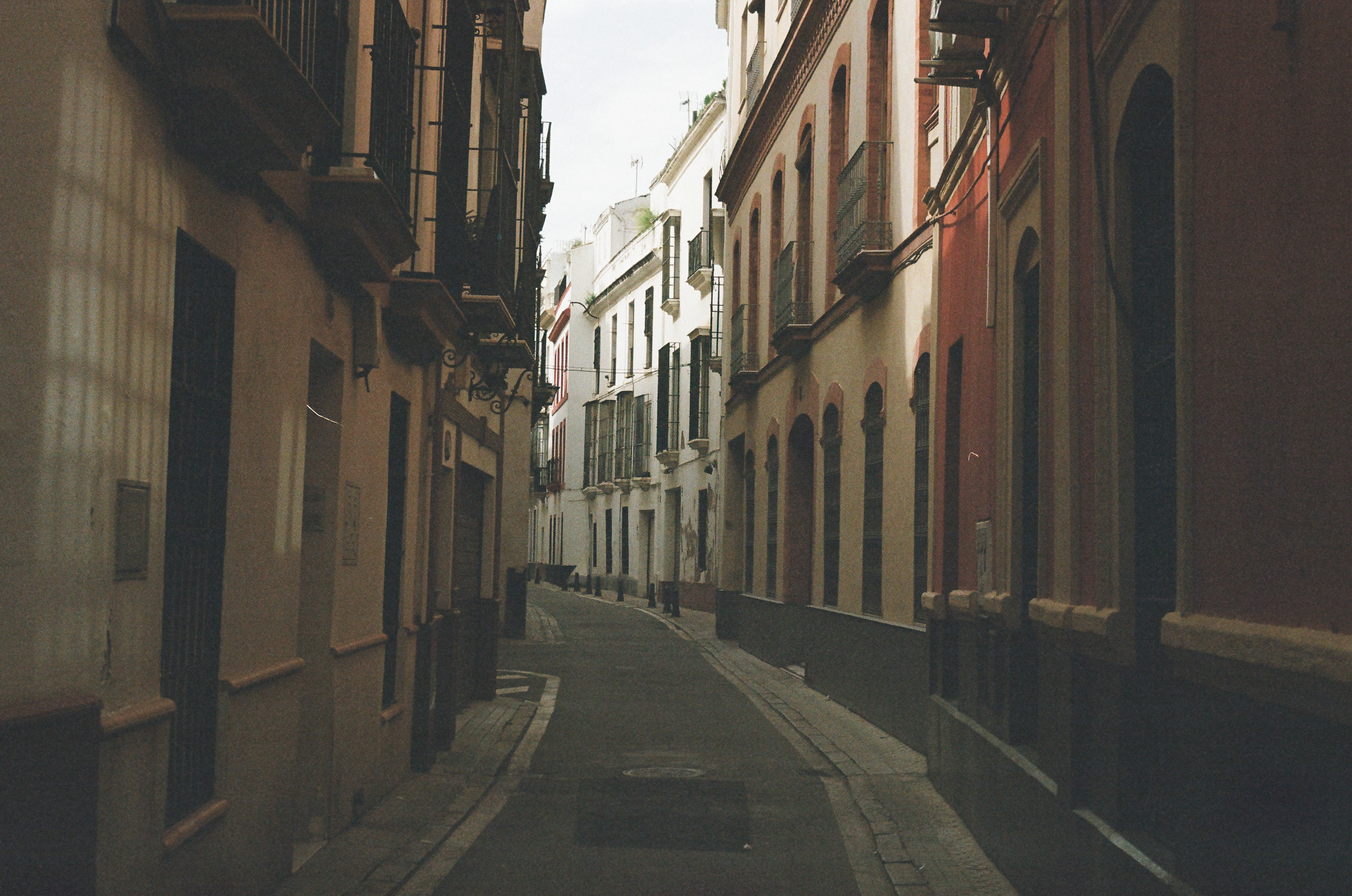 color - 29.JPG