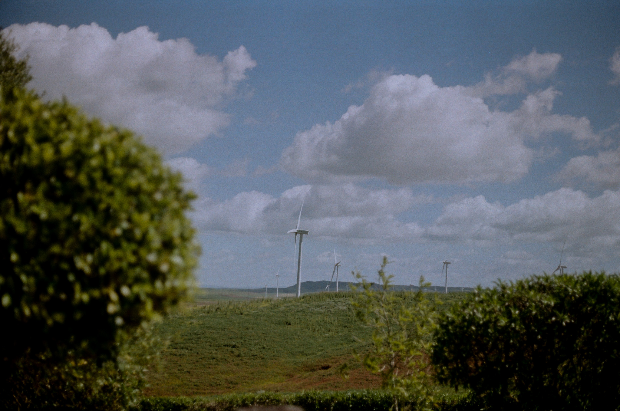 color - 9.jpg