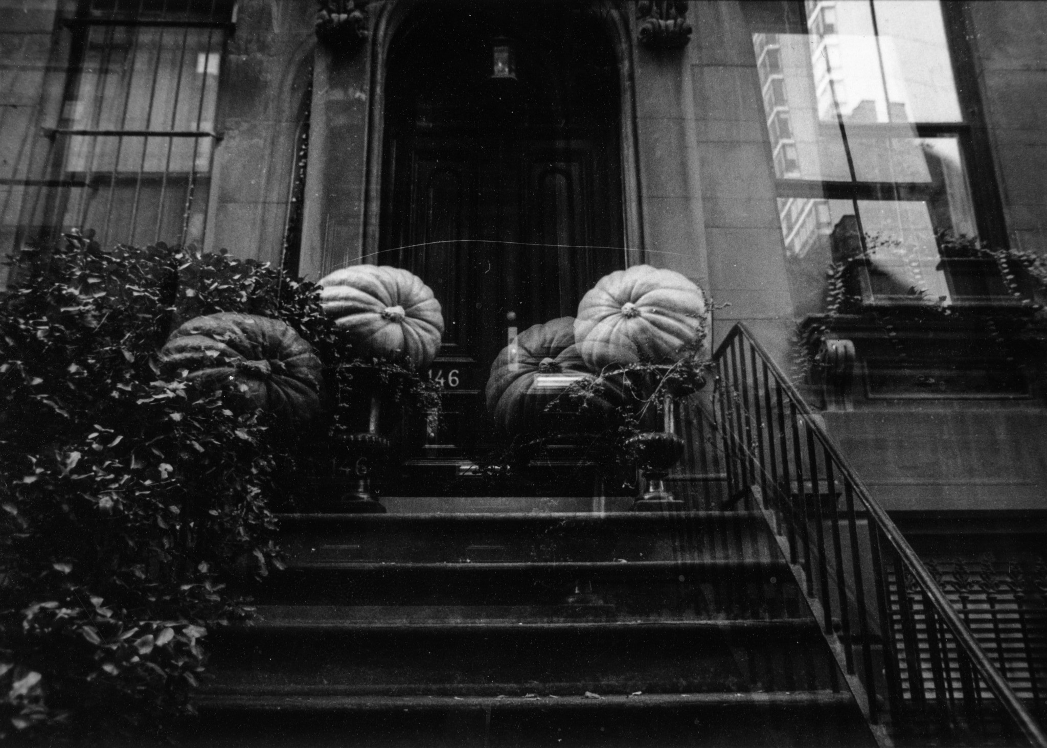 darkroom - 23.jpg