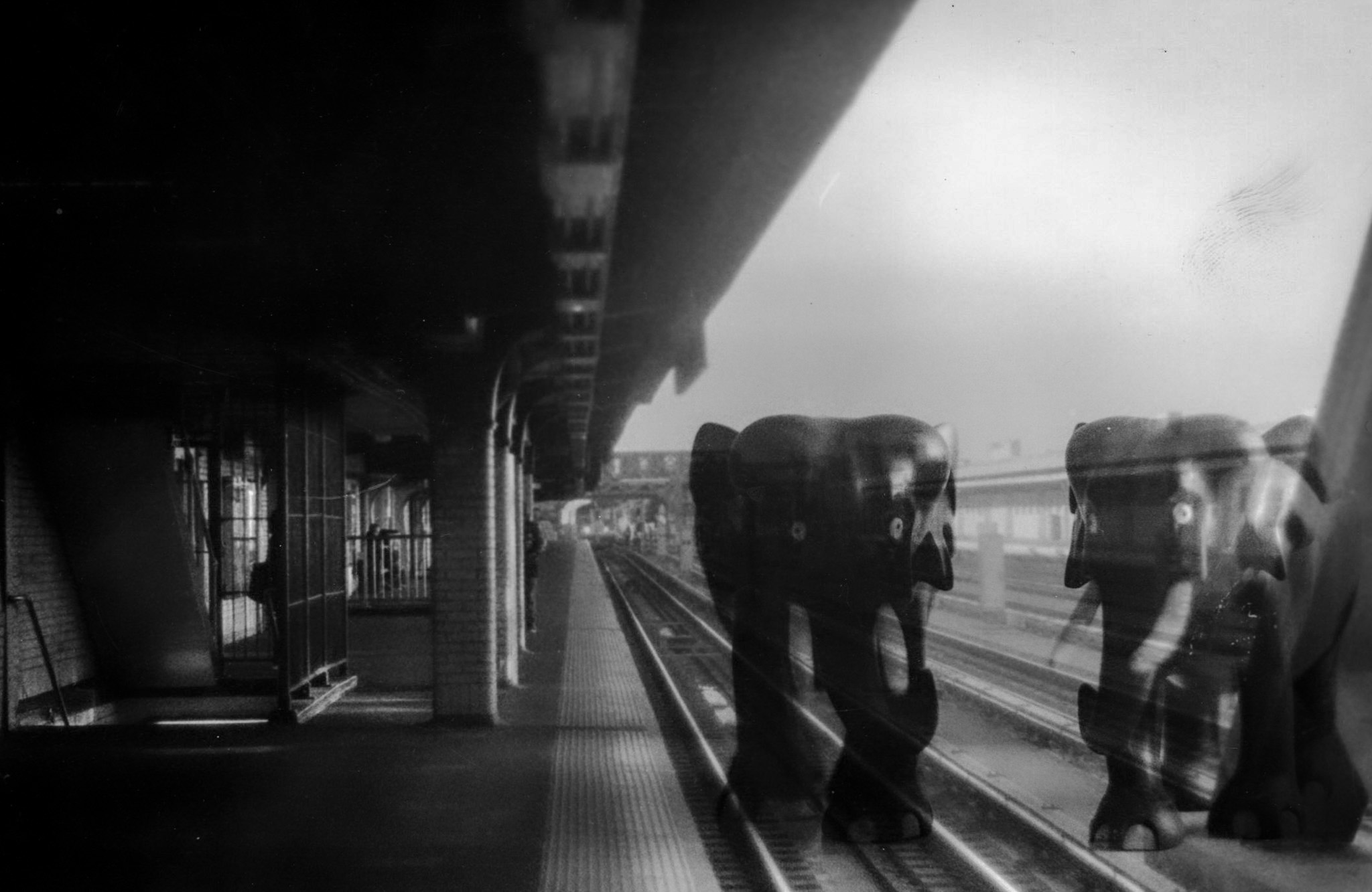 darkroom - 24.jpg