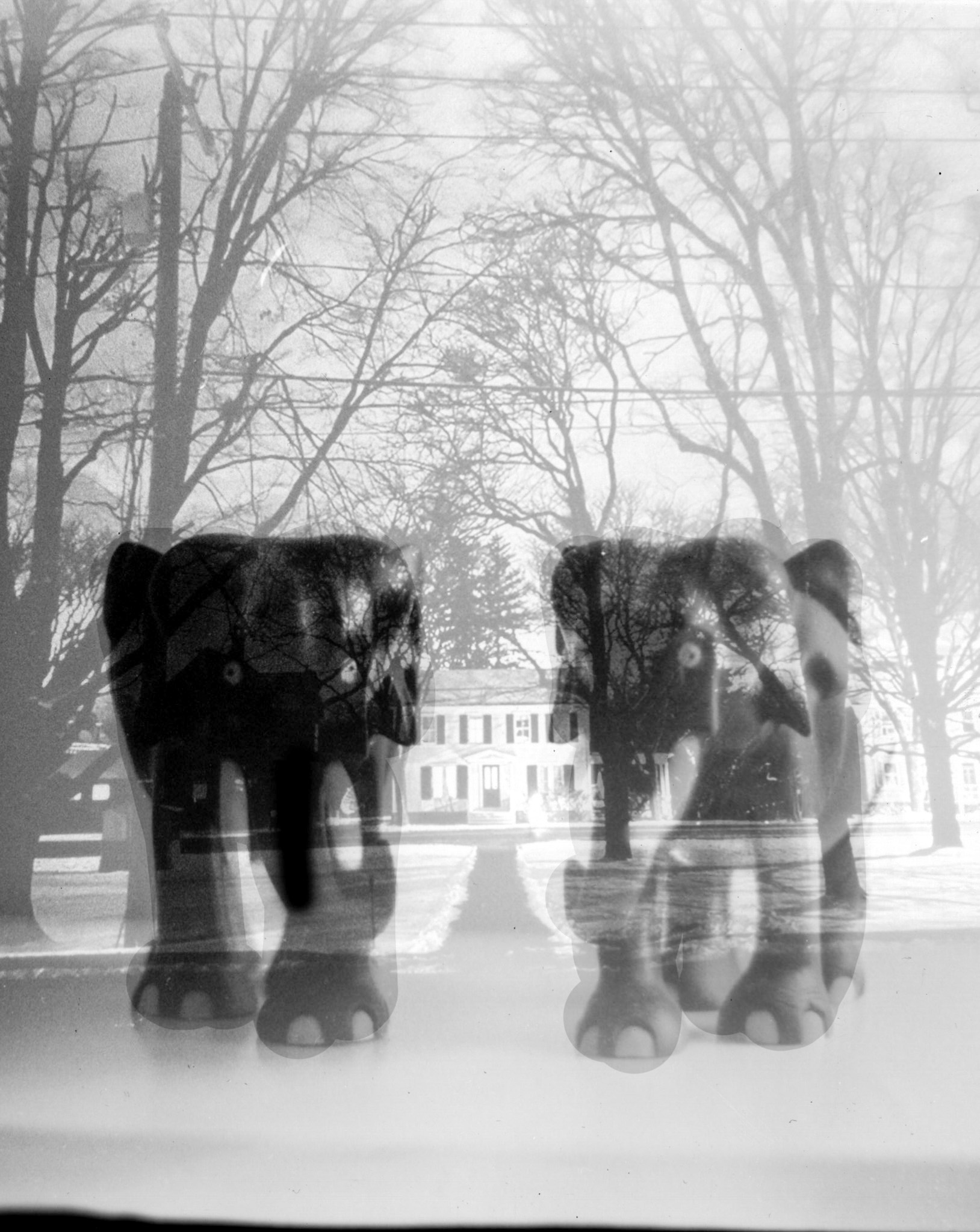 darkroom - 27.jpg