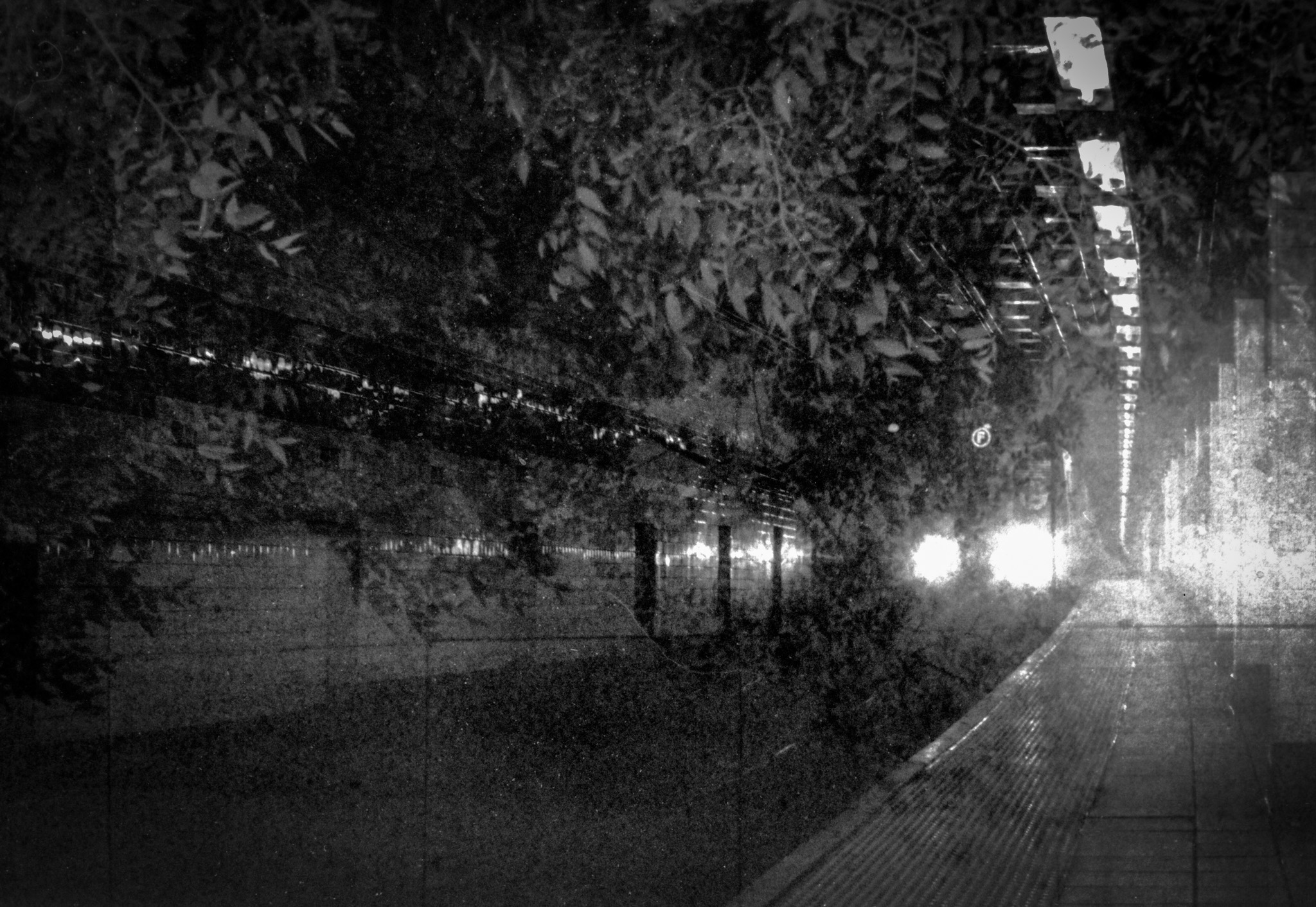 darkroom - 4.jpg