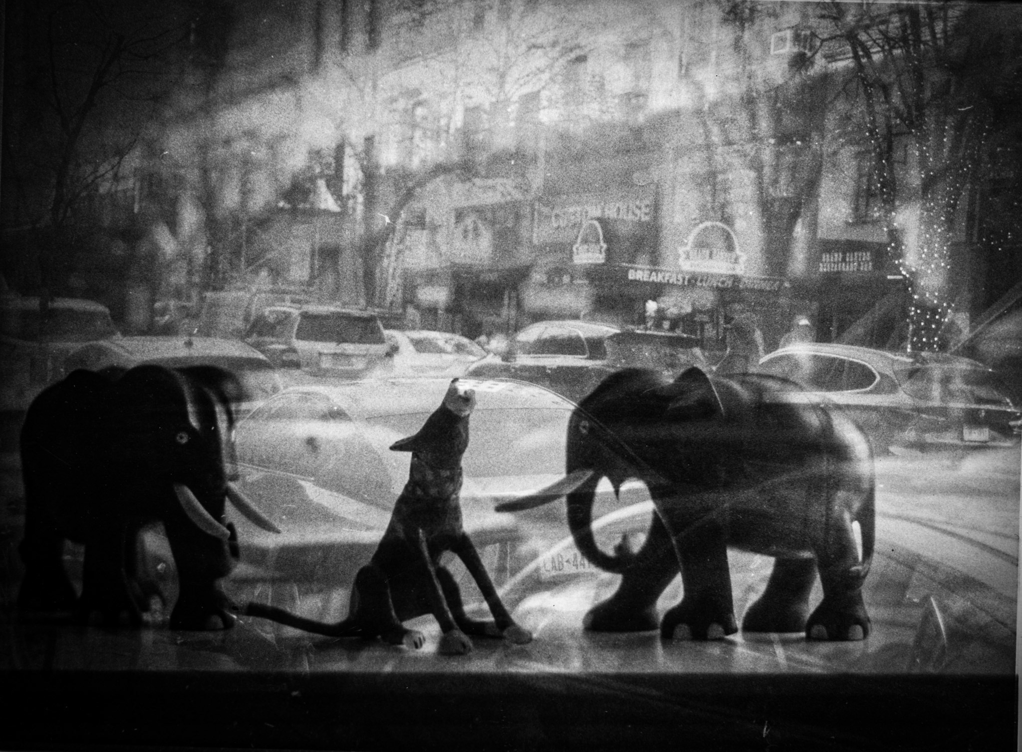 darkroom - 7.jpg