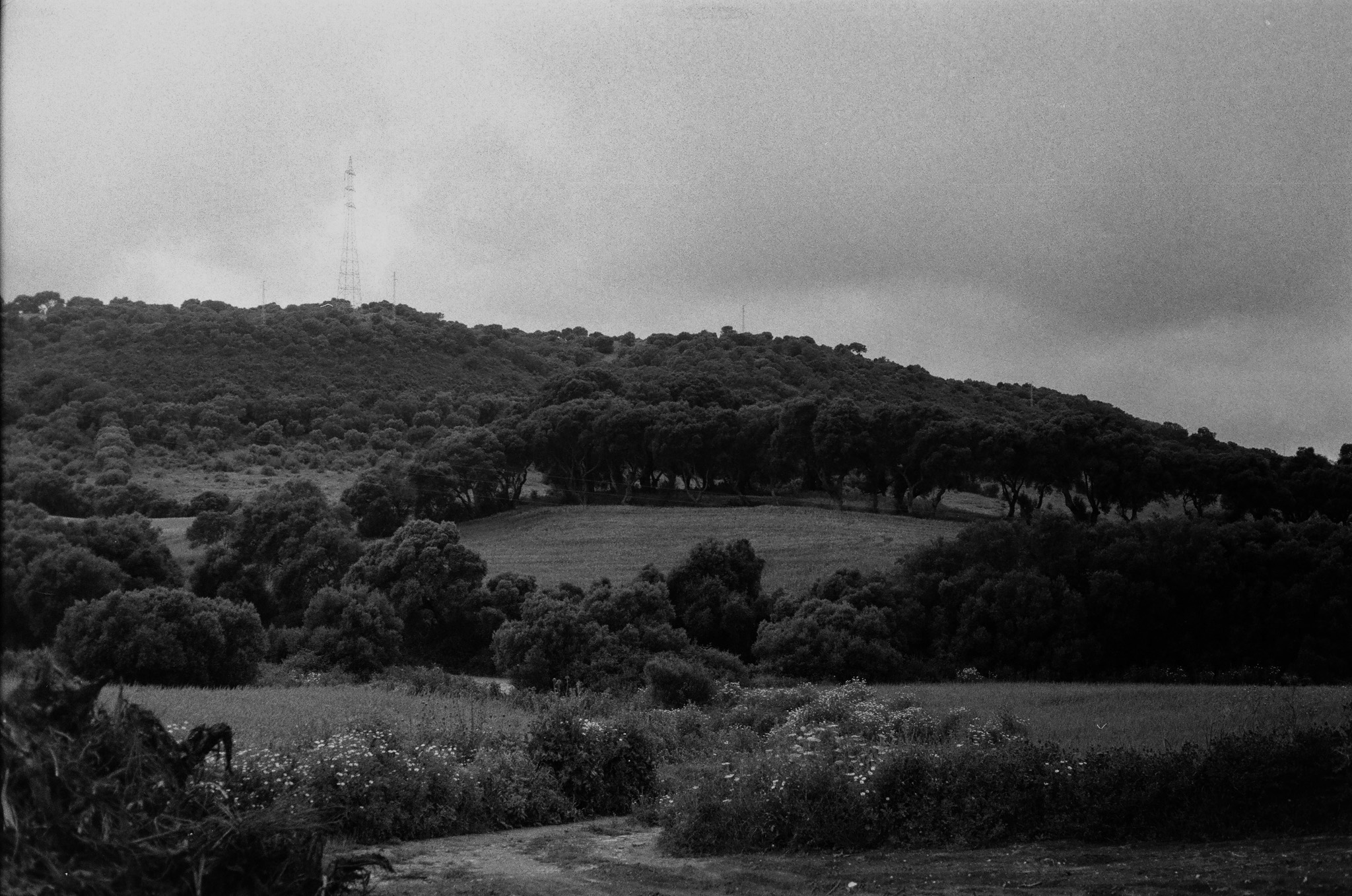 traditional - 8.jpg